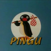 - foto